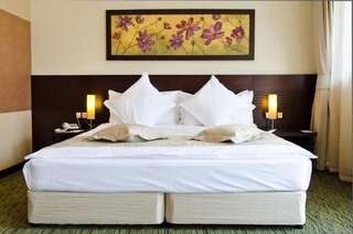 Курортные отели Riu Pravets Golf & Spa Resort Правец Двухместный номер с 1 кроватью, вид на озеро-3